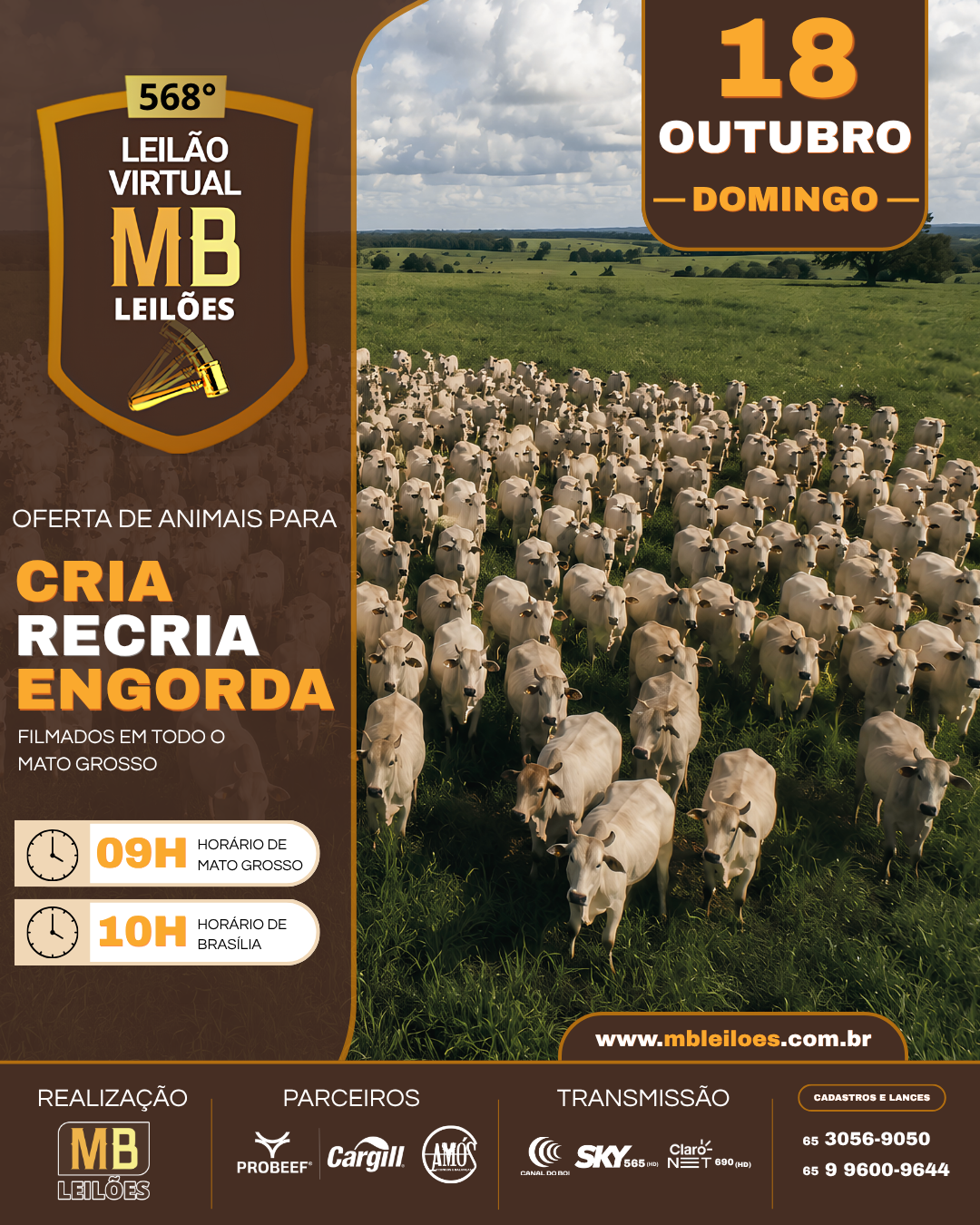568º LEILÃO VIRTUAL MB LEILÕES