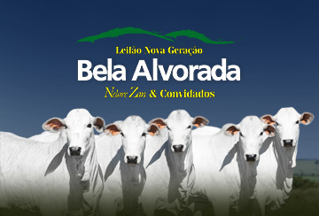 LEILÃO NOVA GERAÇÃO BELA ALVORADA - NELORE ZAN & CONVIDADOS